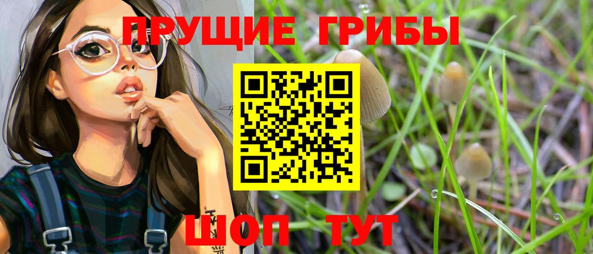 Псилоцибиновые грибы GOLDEN TEACHER  Псилоцибиновые грибы GOLDEN TEACHER  Сургут  магазин    Вход с VPN 